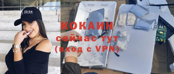 гашиш Богданович