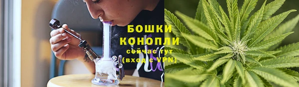 гашиш Богданович