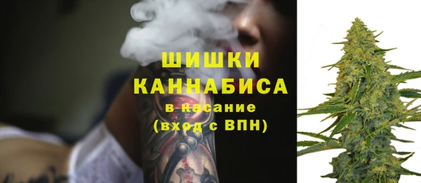 стафф Бородино