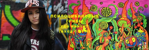СК Рославль