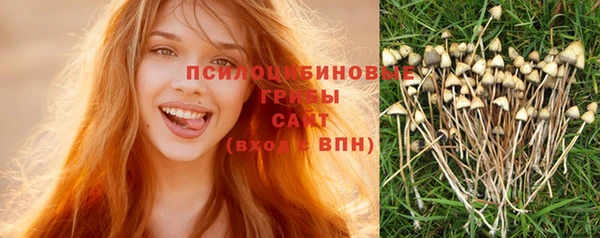 стафф Бородино
