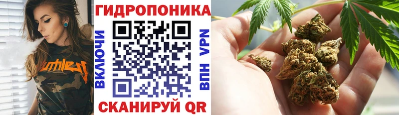МАРИХУАНА планчик  Медногорск 